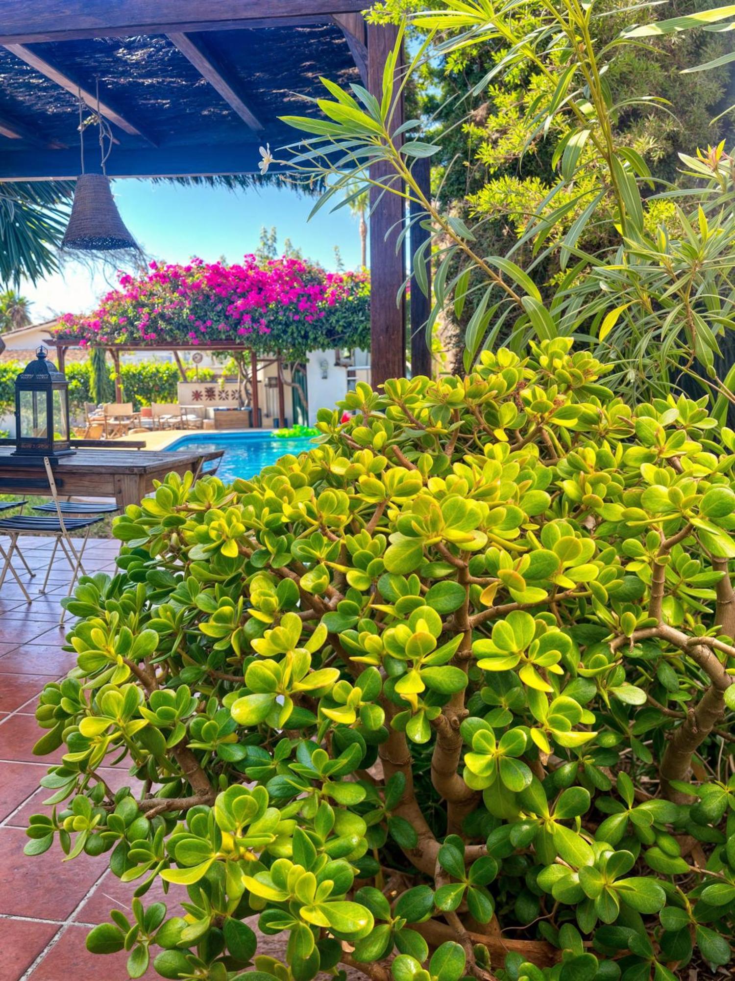 Villa Alfredo - Private Pool Next To The Beach Estepona Extérieur photo